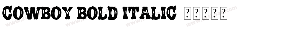 Cowboy Bold Italic字体转换